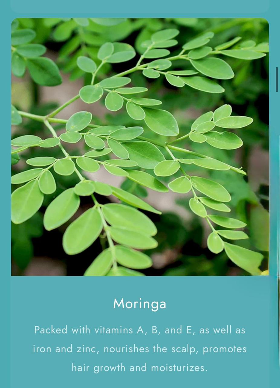 As I Am Bond Water - 2 oz - with Moringa, Amla & Ceramides - Hair Repair Treatment For Damaged Hairs