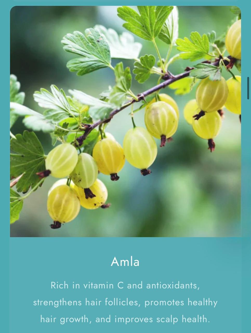 As I Am Bond Water - 2 oz - with Moringa, Amla & Ceramides - Hair Repair Treatment For Damaged Hairs